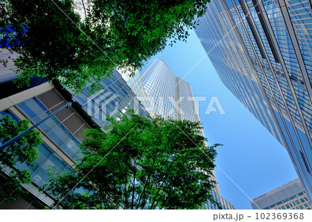東京　新緑の日比谷仲通りの風景 102369368