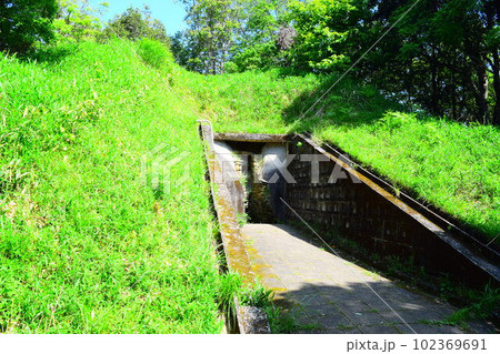 【国指定特別史跡】岩橋千塚古墳群 【国指定特別史跡】岩橋千塚古墳群 102369691