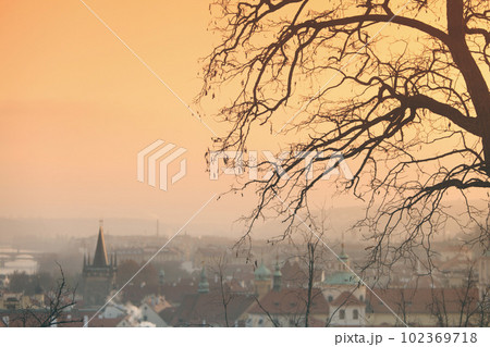 Panorama of Prague Czech Republic 102369718