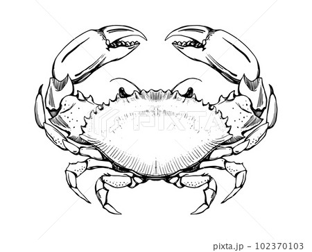 Crab Tattoo Zodiac Cancer Decapoda crab transparent background PNG clipart   HiClipart