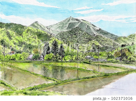 阿東の初夏 阿東の初夏 102371016