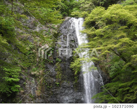箕面大滝 102371090