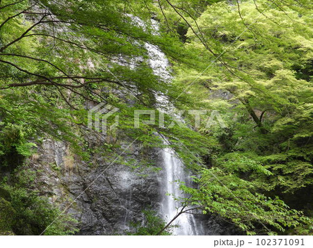 箕面大滝 102371091