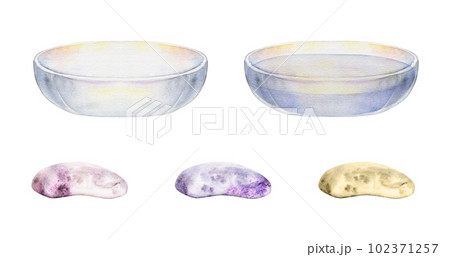 Hand drawn watercolor spa glass bowl empty and filled with water and assortment of soap. Isolated object on white background. Design for wall art, wellness resort, print, fabric, cover, card, booklet. Hand drawn watercolor spa glass bowl empty and filled with water and assortment of soap. Isolated object on white background. Design for wall art, wellness resort, print, fabric, cover, card, booklet. 102371257