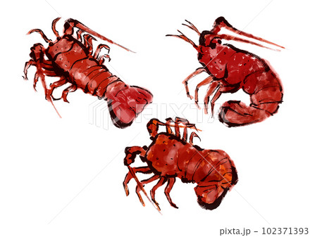 伊勢海老の手描き和風イラストセット 102371393