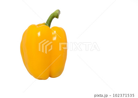 Yellow paprika (pepper) isolated on a white background Yellow paprika (pepper) isolated on a white background 102371535