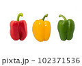 Paprika is a cultivar of the species Capsicum annuum paprika yield different colors, including red, yellow, orange and green peppers are sometimes grouped with less pungent pepper called sweet peppers Paprika is a cultivar of the species Capsicum annuum paprika yield different colors, including red, yellow, orange and green peppers are sometimes grouped with less pungent pepper called sweet peppers 102371536