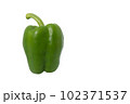 Green paprika (pepper) isolated on a white background Green paprika (pepper) isolated on a white background 102371537