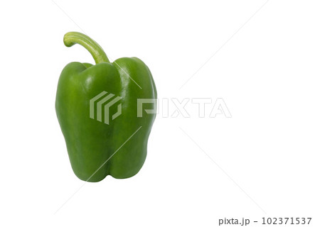 Green paprika (pepper) isolated on a white background 102371537