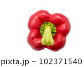 Red bell pepper, paprika isolated on white background Red bell pepper, paprika isolated on white background 102371540