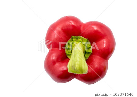 Red bell pepper, paprika isolated on white background 102371540