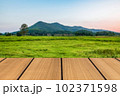 Empty perspective room and rice field background Empty perspective room and rice field background 102371598