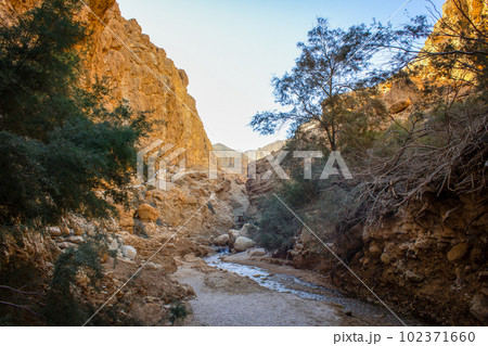 Breathtaking View of the Majestic Mountains in Israel on a Clear Sunny Day Breathtaking View of the Majestic Mountains in Israel on a Clear Sunny Day 102371660