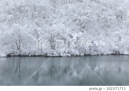 富山_雪景色の庄川峡の絶景風景 102371711