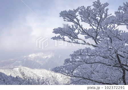 樹氷の御在所岳 樹氷の御在所岳 102372291