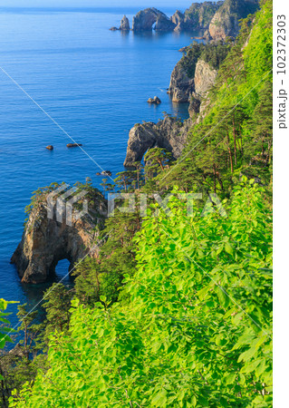 岩手_朝日に輝く北山崎の海岸線の絶景風景 岩手_朝日に輝く北山崎の海岸線の絶景風景 102372303