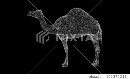 3D camel on black bg. Object dissolved white flickering particles. Business advertising backdrop. Science concept. For title, text, presentation. 3D animation. 3D camel on black bg. Object dissolved white flickering particles. Business advertising backdrop. Science concept. For title, text, presentation. 3D animation. 102373211