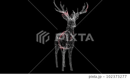 Spread of virus through volumetric body of animal monochrome on black background. Visual demonstration of virus in the body. Tutorial Video. Science Medical concept. 3D animation. Spread of virus through volumetric body of animal monochrome on black background. Visual demonstration of virus in the body. Tutorial Video. Science Medical concept. 3D animation. 102373277