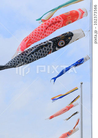 青空に泳ぐ鯉のぼり 端午の節句 青空に泳ぐ鯉のぼり 端午の節句 102373566