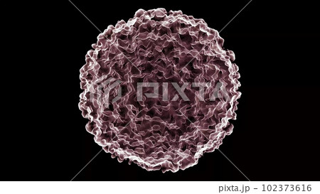 3D cell model on a black background, a macro view of the cell of the human body. Medical Biological Concept. Virus isolated on black background. 3D rendering 102373616