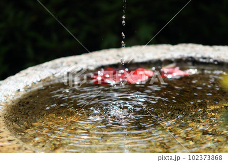水鉢に落ちる水滴　 102373868
