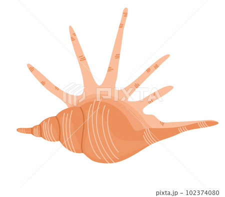 0368_seashell 102374080