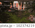 リフレクション 102374219
