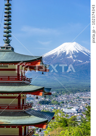 【山梨県】春の新緑の新倉山浅間公園 【山梨県】春の新緑の新倉山浅間公園 102374343