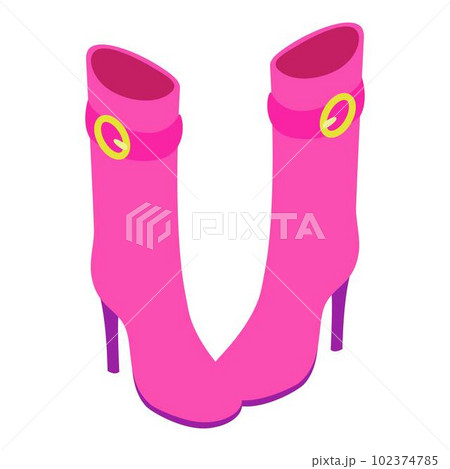 Women boots icon. Isometric illustration of women boots vector icon for web Women boots icon. Isometric illustration of women boots vector icon for web 102374785