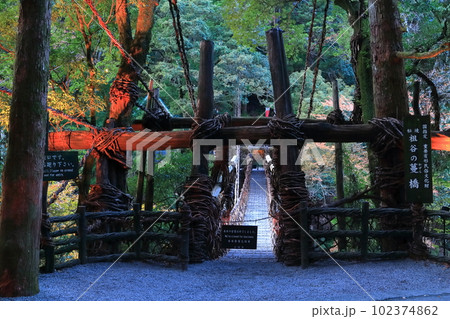 【徳島県】紅葉した祖谷のかずら橋の夜景（ライトアップ） 102374862