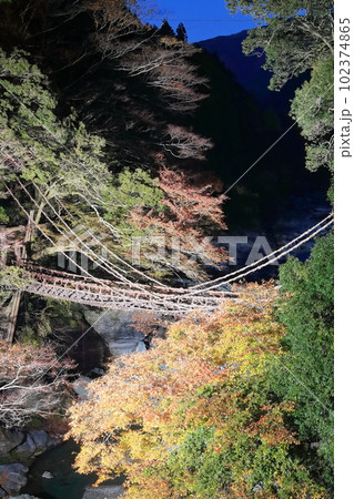 【徳島県】紅葉した祖谷のかずら橋の夜景(ライトアップ) 【徳島県】紅葉した祖谷のかずら橋の夜景(ライトアップ) 102374865