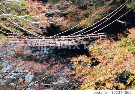 【徳島県】紅葉した祖谷のかずら橋の夜景(ライトアップ) 【徳島県】紅葉した祖谷のかずら橋の夜景(ライトアップ) 102374869