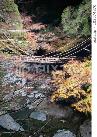 【徳島県】紅葉した祖谷のかずら橋の夜景(ライトアップ) 【徳島県】紅葉した祖谷のかずら橋の夜景(ライトアップ) 102374870