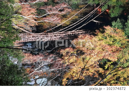 【徳島県】紅葉した祖谷のかずら橋の夜景(ライトアップ) 【徳島県】紅葉した祖谷のかずら橋の夜景(ライトアップ) 102374872