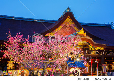 北野天満宮 梅 北野天満宮 梅 102375618