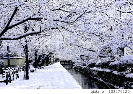 哲学の道　雪景色 102376129