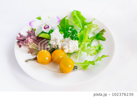手作りカッテージチーズと野菜 102376230