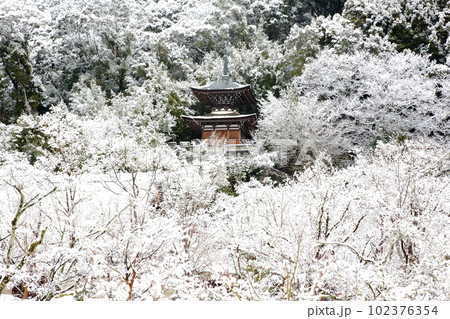 永観堂　雪景色 102376354