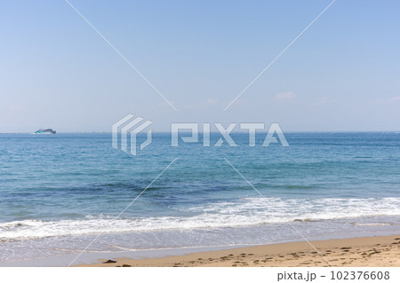 伊良湖岬の海の景色 102376608