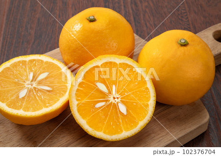 ニューサマーオレンジ ニューサマーオレンジ 102376704