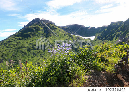 登山道から望む鳥海山山頂とハクサンシャジンの花 102376862