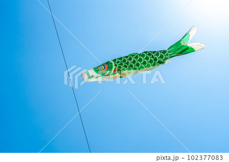緑の鯉のぼり 102377083