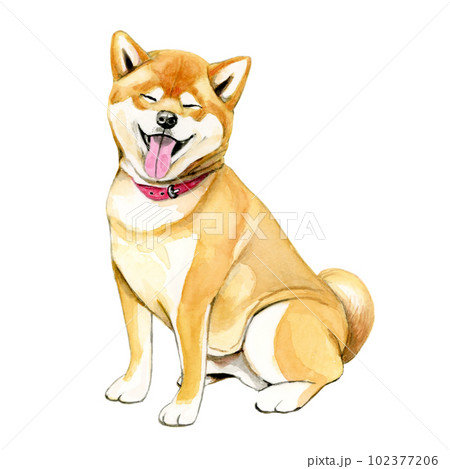 犬の絵 手描き 柴犬 - 美術品