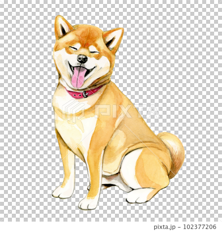 柴犬【手描き水彩画】 102377206