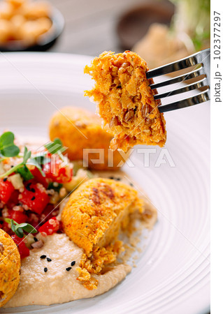 Eating vegetarian falafels with hummus Eating vegetarian falafels with hummus 102377297