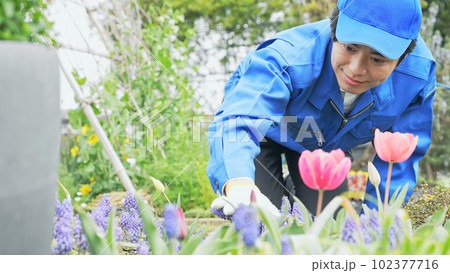 花畑を管理する男性作業員 花畑を管理する男性作業員 102377716