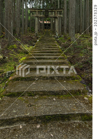 日本　京都府京都市右京区の森の中にある賀茂神社の鳥居と社殿に続く苔むした石段 102378329