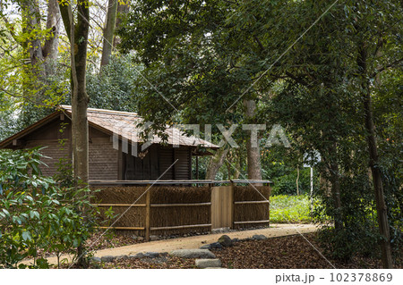 日本　京都府京都市にある下鴨神社近くの糺の森 102378869