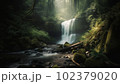 マイナスイオン溢れる山中 102379020