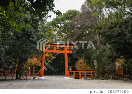 日本　京都府京都市にある下鴨神社の二の鳥居と紅葉 102379100